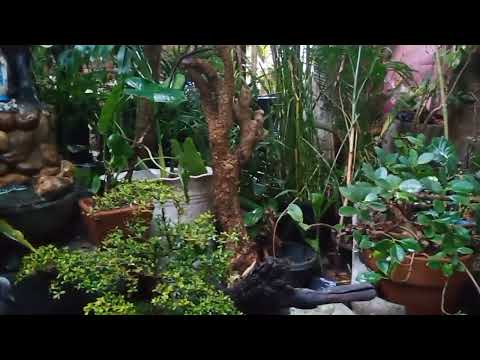 Garden with Mini Grotto #garden #landscape #gardendesign #grotto @landscapinggardening1013