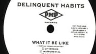 Delinquent Habits ‎– What It Be Like Remix