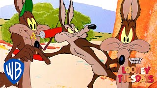 Looney Tuesdays | The Coyote Who Never Gives Up | Looney Tunes | WB Kids