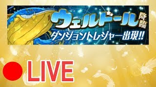【配布】ウェルドール　即切り