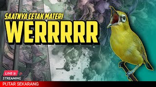 Download lagu 🔴 LIVE masteran PLECI materi mewah kekinian Tembakan werrr speed rapat #masteranplecinembak mp3