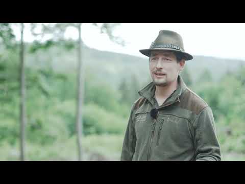 Tak se z lesa ozývá - Domažlické městské lesy. Zachrání lesníci kraj Chodů?