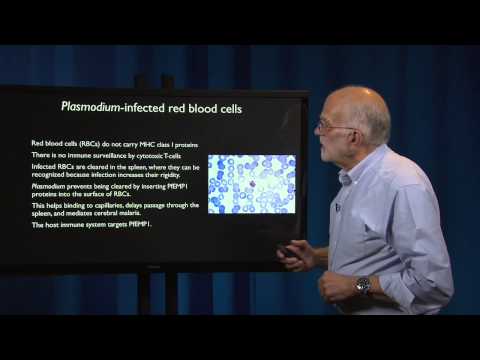 Pathogen Evolution: Evading Defenses