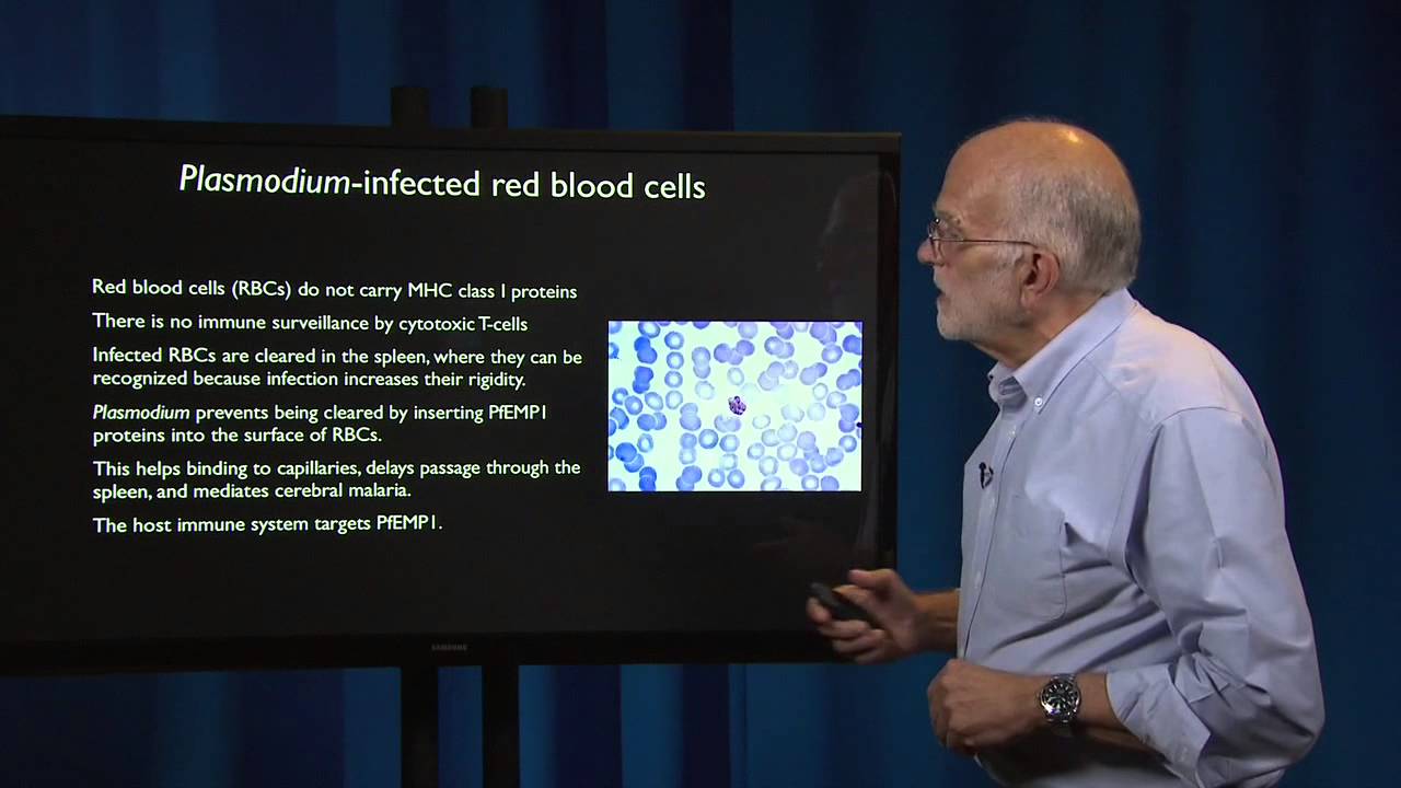 Pathogen Evolution: Evading Defenses