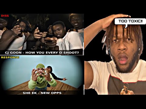 NEW YORK DRILL DISSES vs THE RESPONSE PT. 1! *CAUTION VERY DISRESPECTFUL*