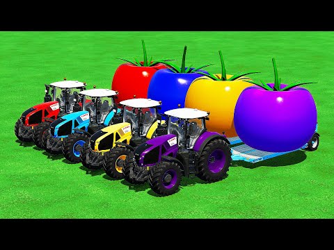 TRANSPORTING COLORED SUPERCARS & GIANT FRUITS with CLAAS TRACTORS - Farming Simulator 22