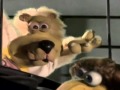 YO GORILLA TAKES THE BUS