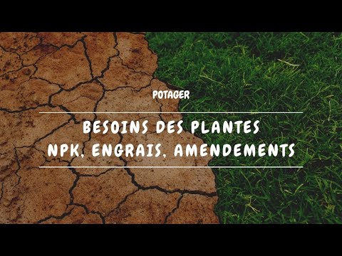 , title : '🌿 Besoins des plantes, NPK, engrais, amendements, etc...'