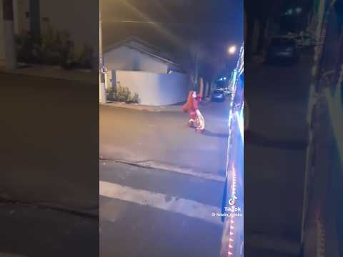 personagens do trenzinho pegasus em Guariba-sp 2022