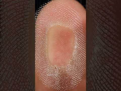 Thumbprint VS Mirror ASMR | Satisfying Macro Detail Reaction