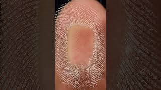 Download lagu Thumbprint VS Mirror ASMR | Satisfying Macro Detail Reaction mp3