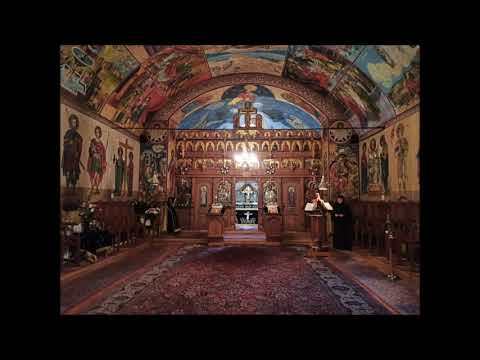 20200417 NICOLAE BALASOIU – SFANTA SI MAREA VINERI – DENIA PROHODULUI DOMNULUI