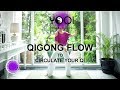 Qigong to Circulate Your Energy