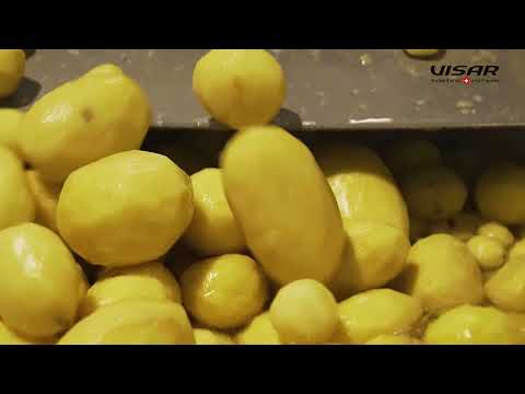 Visar Sorting Sàrl : Sortop Potatoes - Optical sorter for peeled potatoes