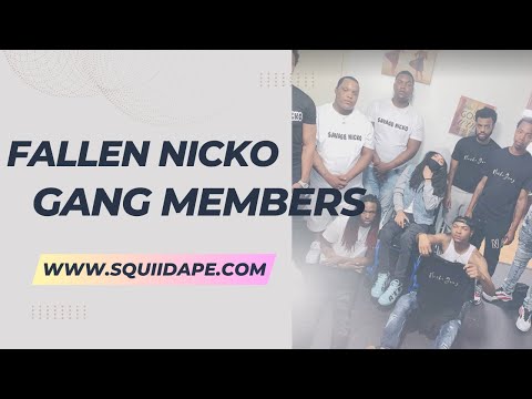 🇫🇷🇺🇸 FALLEN NICKO GANG Members