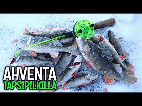 AHVENPILKILLÄ MERELLÄ - VÄINÖ SWEEPER + MORMUSKA TOIMII