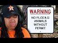 Some Of The DUMBEST Laws EVER Degenerocity