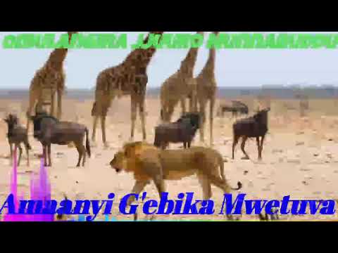 Amanyi G'ebika mwetuva - Omulangira Jjuuko Munnabuddu