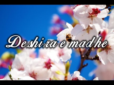 Dëshira e madhe ᴴᴰ┇Bilal Assad┇