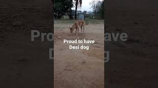 first video video