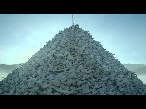 Ryuichi Sakamoto - The Revenant Main Theme (Alva Noto Edit) - Music Video