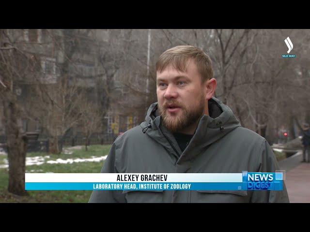 Қазақстан барыстарды жер серігі арқылы бақылайды