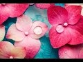 6 Hour Relaxing Spa Music: Massage Music, Calming Music, Meditation Music, Relaxation Music, ☯2588 mp3