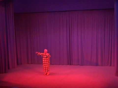 Lange Nacht der Eurythmie - Palmström