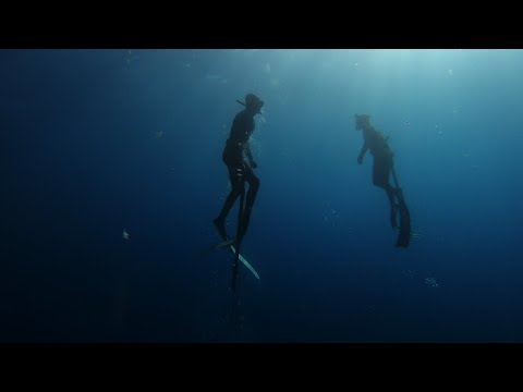 Jouney through the ocean - spearfishing, surfing, freediving.
