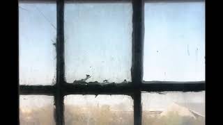 Bill MacKay And Ryley Walker   Hypnotic Pulse Of The Reindeer Range