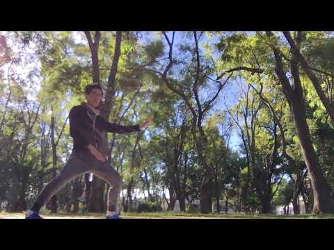 19 Fist Under Elbow 肘底捶| 20 Reverse Forearm Coil | 倒卷肱