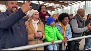 The Most Expressive Silverback Gorilla Moments at the Zoo. #viralvideo #funny #gorillas #fypシ゚viral 