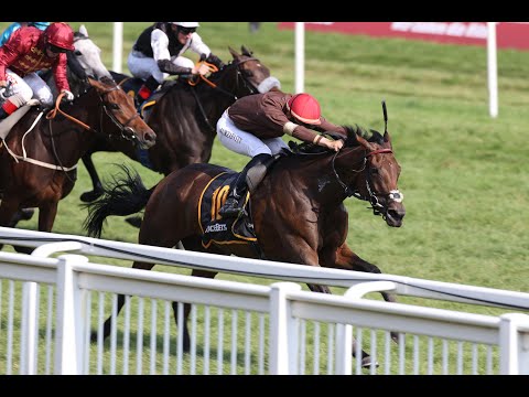Baden-Baden - 12.09.2020: T. von Zastrow Stutenpreis (Gr. II) - Siegerin: Zamrud
