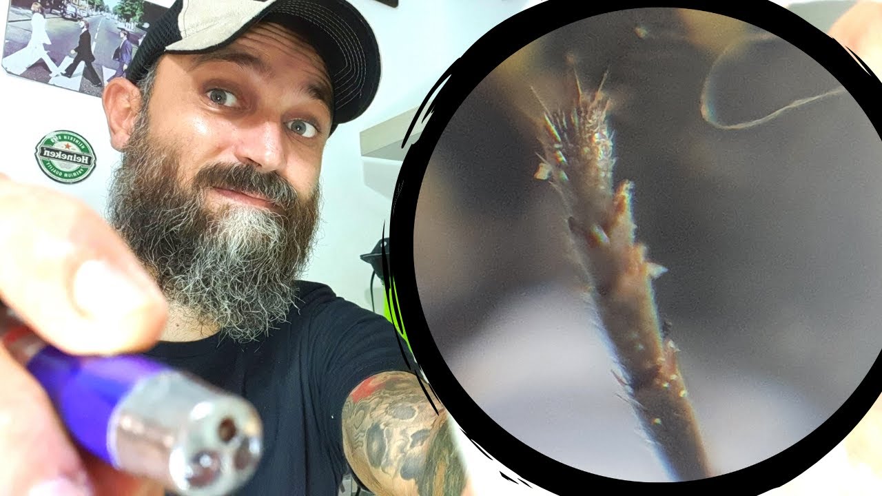 Faça um MICROSCÓPIO para CELULAR! INCRÍVEL!