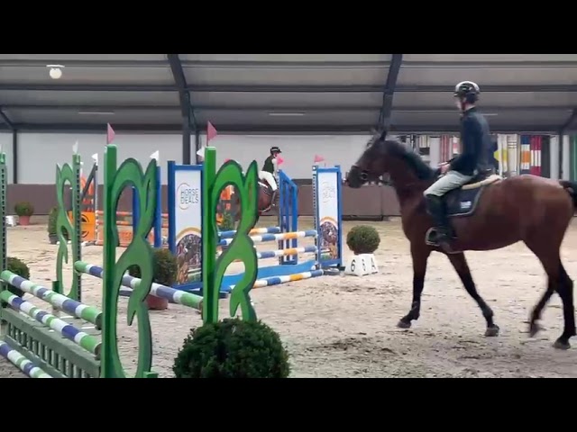 Indoor show video Lanturano (Levi VDL x Canturano).