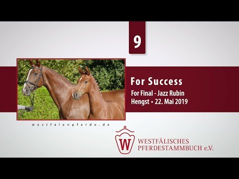 09 For Success  Hengst v. For Final - Jazz Rubin