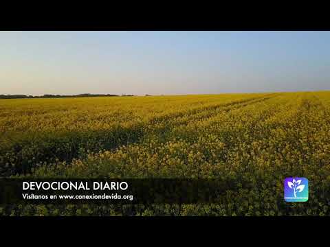 Devocional diario - 2020-03-07 - ¿Cómo se manifiesta Dios a nosotros?