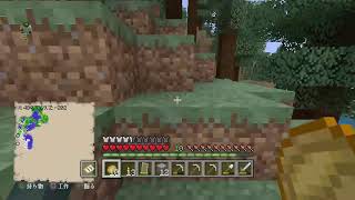 ［マイクラ］喉が痛い！