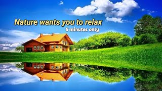 Relief for stress 5 minutes of amazing nature scenery with relaxing music