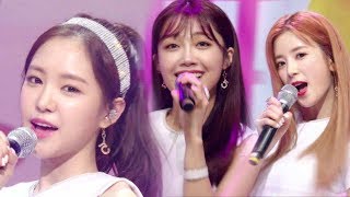 《EXCITING》 Apink (에이핑크) - FIVE @인기가요 Inkigayo 20170716