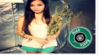 Swizz Beatz - Hands Up (Lyrics)