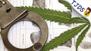 Marijuana Prop 64 In California Explained By Progressive Pundit