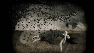 "diving in the air" - dhafer youssef