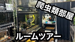 【ルームツアー】爬虫類部屋紹介