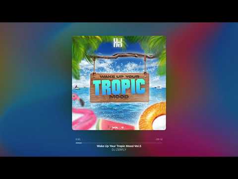 DJ ZERFLY - Wake Up Your Tropic Mood Vol.5