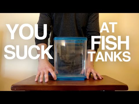 You Suck At Fish Tanks (compilation)