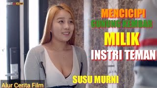 Download lagu GENJOT ISTRI TEMAN - Alur Cerita Film The Invited Man mp3