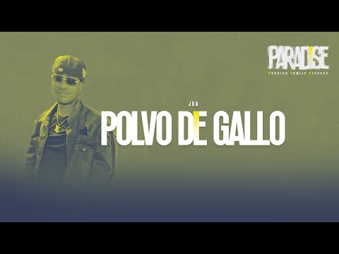 Polvo de Gallo - PFR X Joa - (Video Lyric) PARADISE