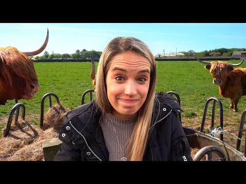 The Reason Why We Came To Scotland