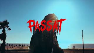 PASSAT (Visualizer) PASSAT (Visualizer)
